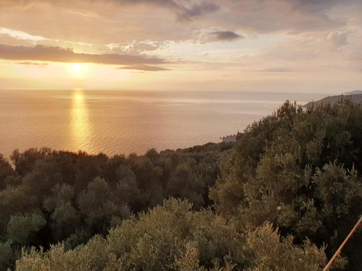 La Villa Del Pixus Pisciotta Exteriér fotografie